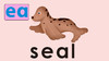 seal 商品缩略图0