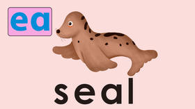 seal