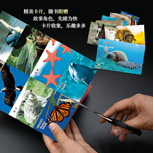 动物成长故事套装(1-5辑)/(6-10辑)/(1-10辑) 商品图7