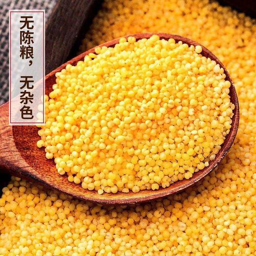 人民大真空糯小米500g 商品图3