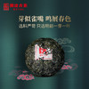 澜沧古茶2020年腊古袖景迈古树小雀嘴尖金瓜明前春茶普洱茶生茶666g/个 商品缩略图1