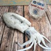【软丝鱿鱼】当天海捕野生软丝大鱿鱼，口感鲜脆爽口，一个200-500克 商品缩略图1