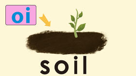 soil