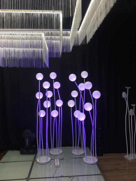 5头奶白球路引【运费自理】 商品图4