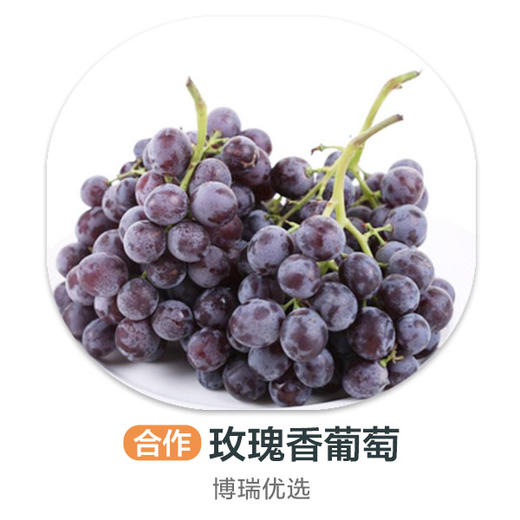 玫瑰香葡萄 商品图0