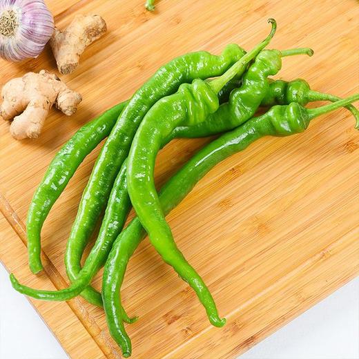 【城·食配】螺丝椒 约1斤 商品图0