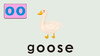 goose 商品缩略图0