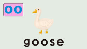 goose