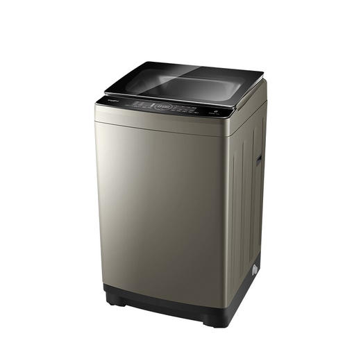 惠而浦（whirlpool）朗净系列10公斤波轮家用全自动洗衣机DD变频1级能效WVD101521G 商品图2