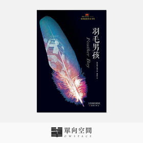 《羽毛男孩》 妮奇·辛娜 著