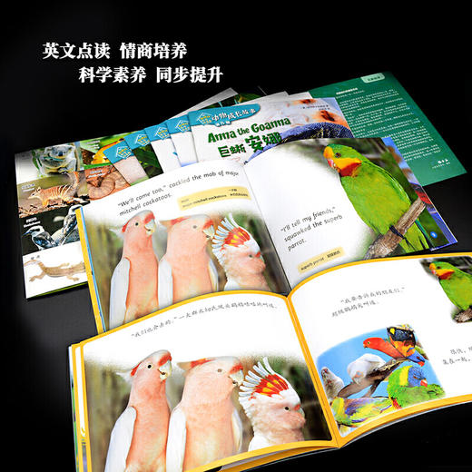 动物成长故事套装(下)(6-10辑) 商品图5