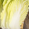 【城·食配】大白菜 1颗/份/4.25斤 商品缩略图2