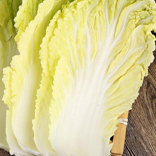 【城·食配】大白菜 1颗/份/4.25斤 商品图2