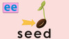 seed 商品缩略图0