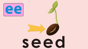 seed