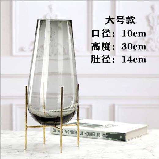 现代简约金属铁架玻璃大花瓶 商品图4