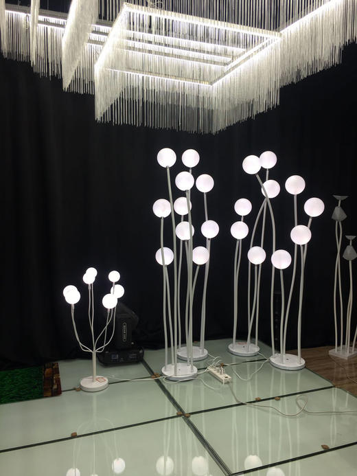 5头奶白球路引【运费自理】 商品图5