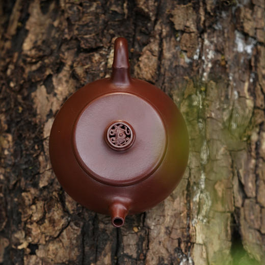 龙德堂陶艺 吴水勤制 《紫苞琅玕·玄武》 220cc (库存请咨询客服) 商品图2