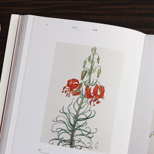 《花开敦煌》20世纪中国艺术名家  常莎娜#此商品参加第十一届北京惠民文化消费季 商品图4