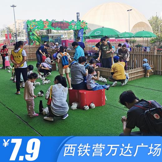 9元抢西铁营万达广场萌宠乐园骑小矮马一次,入园门票需现场购买