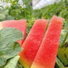 【6月9日上午9点下架】东台甘美4K红肉西瓜 单个装（ 7.5-8.5斤） 商品缩略图9