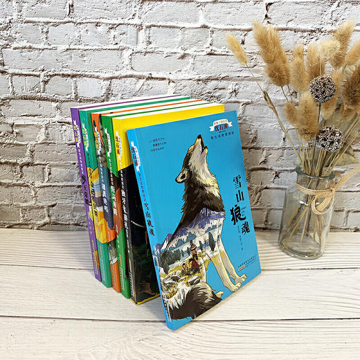 沈石溪动物小说系列全集全套6册野生动物救助站 商品图1