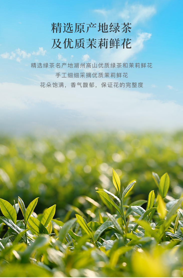 99元任选3件八马茶业茉莉花茶经典系列小圆罐装80g