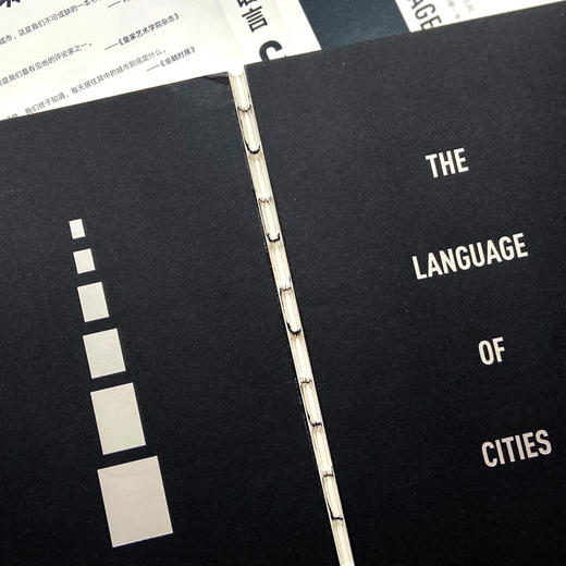 《城市的语言》企鹅文化书系精选，伦敦设计博物馆馆长权威之作，为我们一一解读全球城市的基因密码。 商品图5