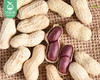 姥家莱龙岩紫衣花生-水煮白晒（1kg±20g/包）生产日期: 11月 商品缩略图1
