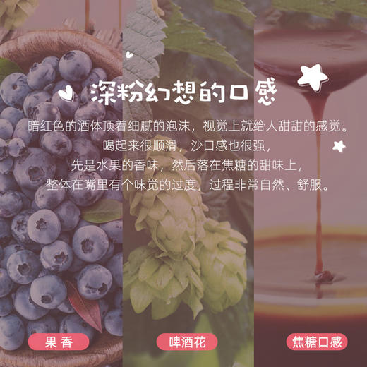 比利时进口 深粉象精酿水果啤酒 330ml 商品图1