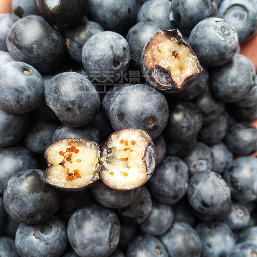 玉溪灿烂蓝莓 甜蜜大果