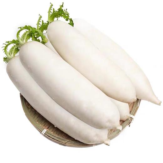 云南农家种植白萝5斤 水份多 不发糠 羊肉炖萝卜