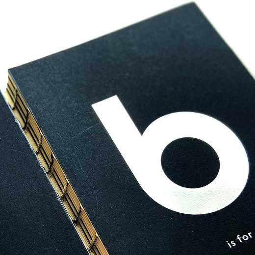 《B代表包豪斯》企鹅文化书系精选，伦敦设计博物馆馆长权威之作，一堂经典的现代设计大师课 商品图8