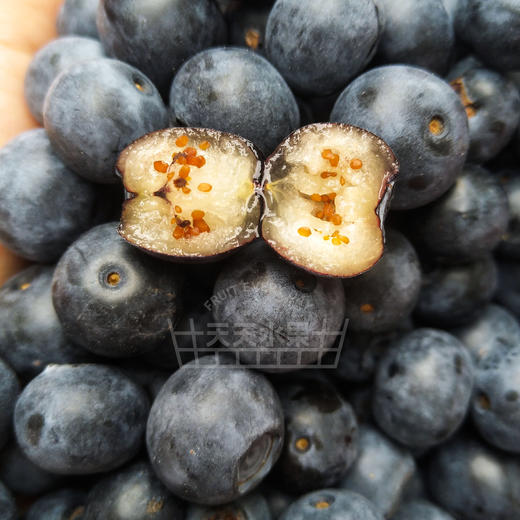 玉溪灿烂蓝莓 甜蜜大果
