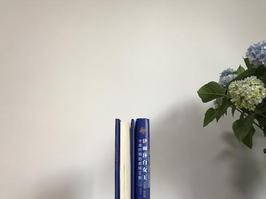 《伊丽莎白女王：全盛时期的都铎王朝》——华文全球史 商品图6