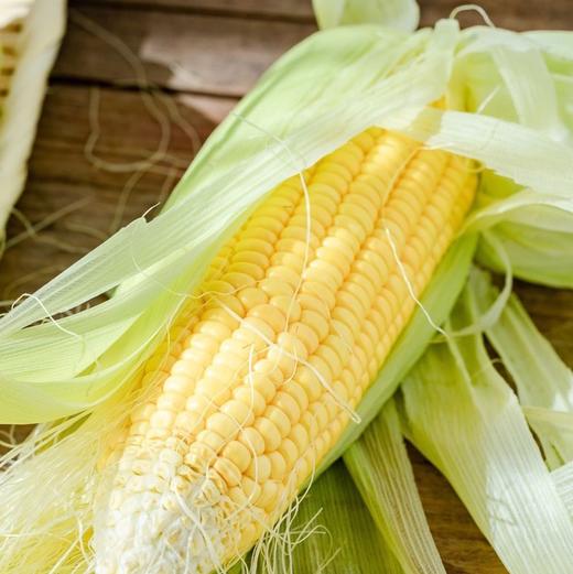 水果甜玉米可生吃的玉米新鲜玉米棒子一颗500克左右
