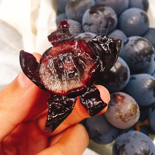黑加仑 秋黑葡萄   好甜 商品图10