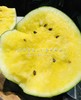 🛵【奶油黄心西瓜】💛超薄皮冰淇淋西瓜🍉🍉🍉单颗约 2.2-2.5Kg 商品缩略图10