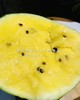 🛵【奶油黄心西瓜】💛超薄皮冰淇淋西瓜🍉🍉🍉单颗约 2.2-2.5Kg 商品缩略图11