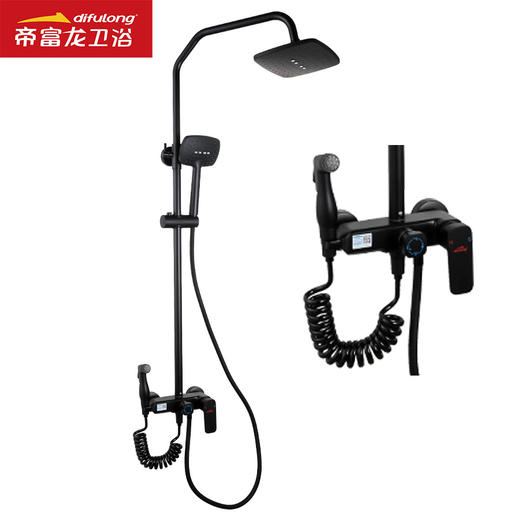 帝富龙 大花洒 B735 黑色四出水 商品图0