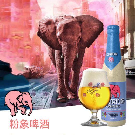 浅粉象啤酒 小粉象比利时进口精酿水果果味高度啤酒 330ml 商品图0