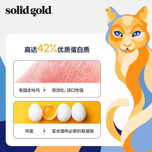 Solid gold素力高金装系列鸡肉味/羊肉配方猫粮12磅5.4kg/幼猫6磅2.72kg 商品图4