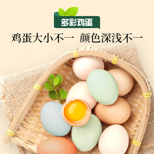山谷五彩土鸡蛋无抗多彩鸡蛋散养土鸡蛋50枚盒
