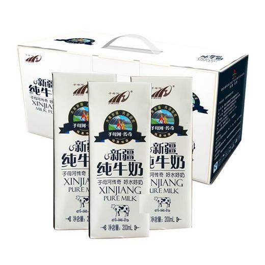 【新疆子母河纯牛奶】200ml*20盒/箱，来自北纬45度黄金奶源带，新疆天山草原纯净牧场 商品图3