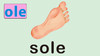 sole 商品缩略图0