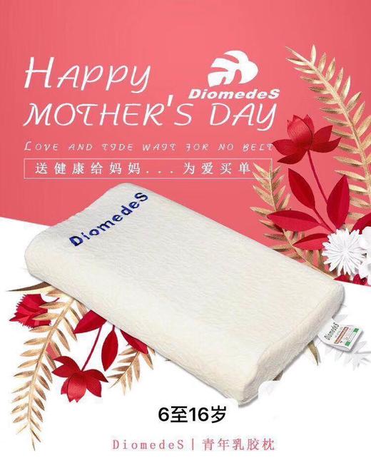 RJZ181212 乳胶枕 商品图2