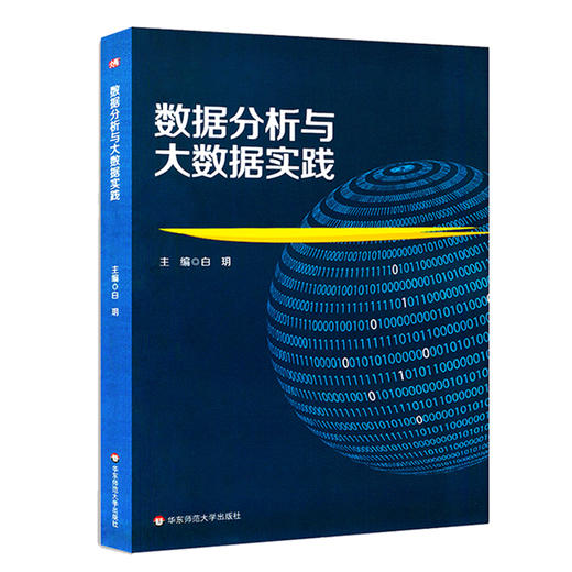 数据分析与大数据实践 精品教材 数据的组织与管理基本概念 Excel高级应用 Access数据库基础 文献检索基础 华东师范大学出版社 商品图0