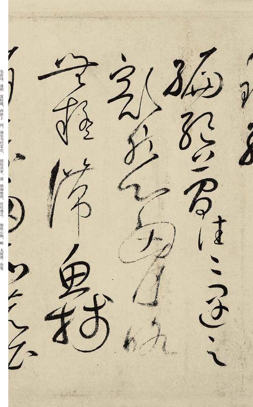 中国最具代表性书法作品放大本系列怀素 自叙帖 唐怀素自叙帖 简体旁注 草书碑帖毛笔字帖张海主编 书法 书法教材 老师用书--河南美术出版社欢迎您！ 商品图4