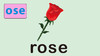 rose 商品缩略图0