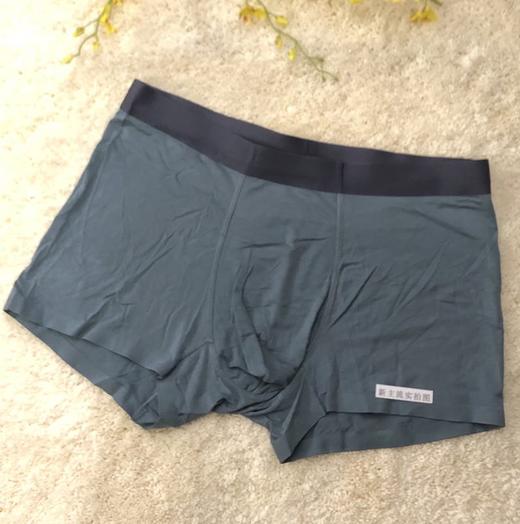 HZL6111  男款内裤 商品图5